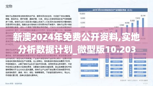 新澳2025最精准正最精准-构建解答落实，理性面对彩票与信息甄别