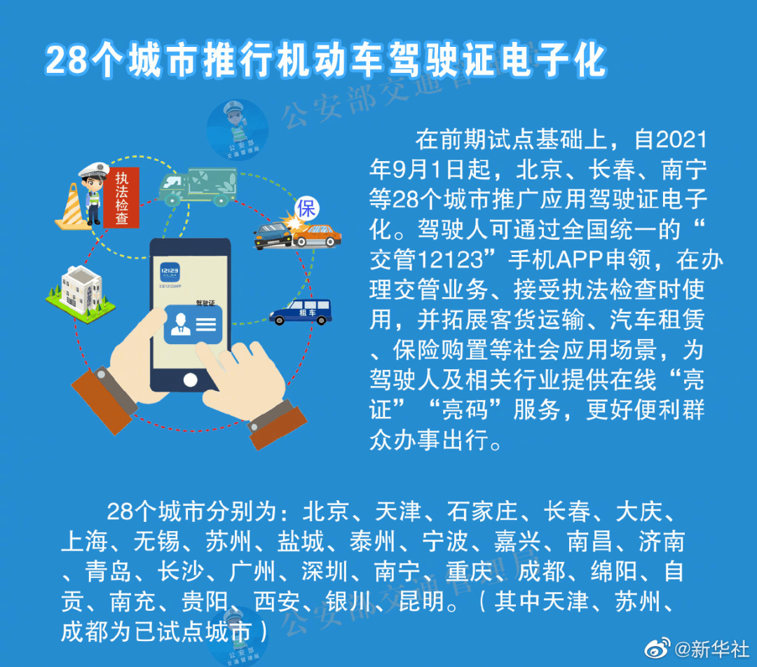 澳门天天彩期期精准，精选解析与落实策略