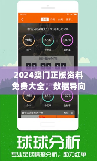 2025新澳门精准免费大全，精选解析解释落实