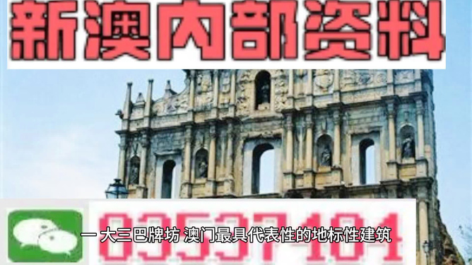 2025年新澳门王中王资料199期，精选解析与解释落实