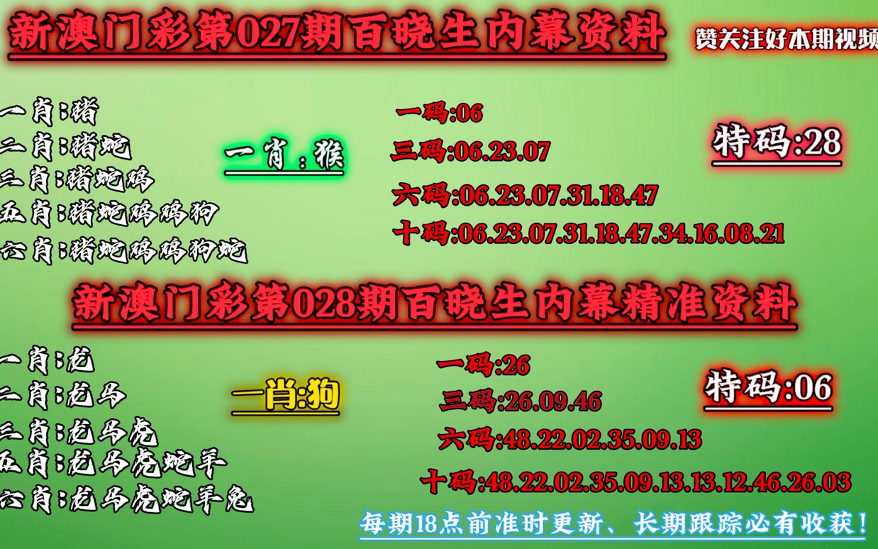 澳门一肖一码一必中，词语释义解释落实