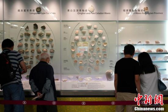 澳门香港开奖结果，精选解析解释落实